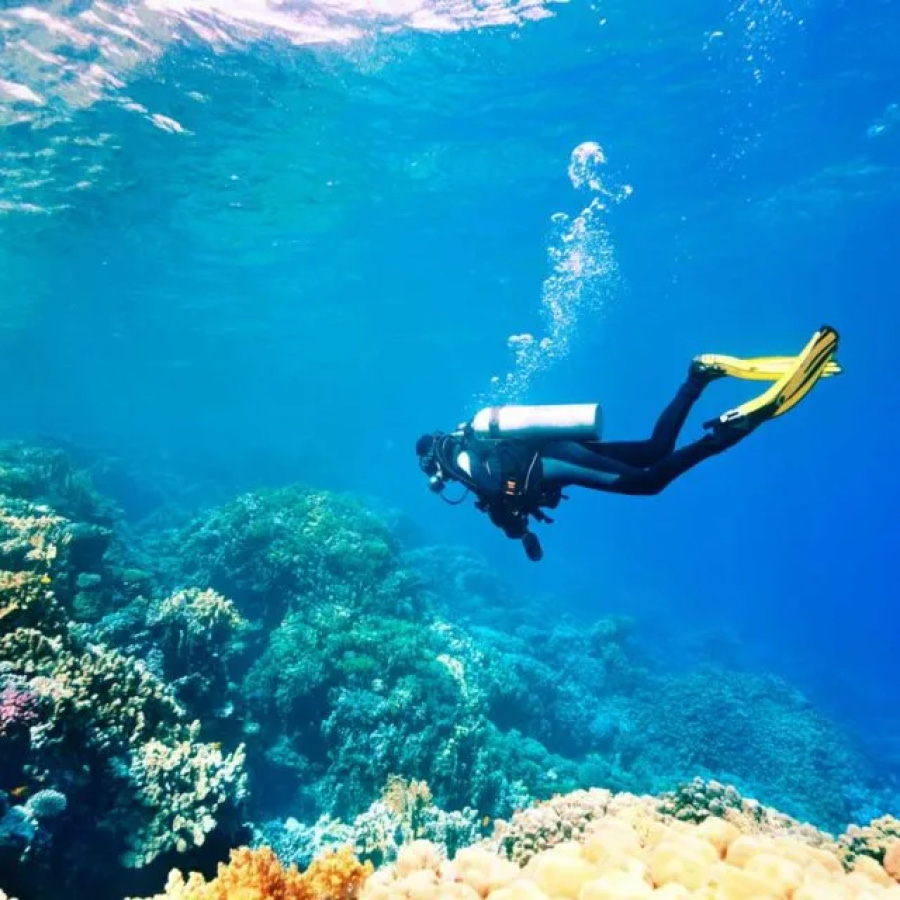 La plongée sous marine